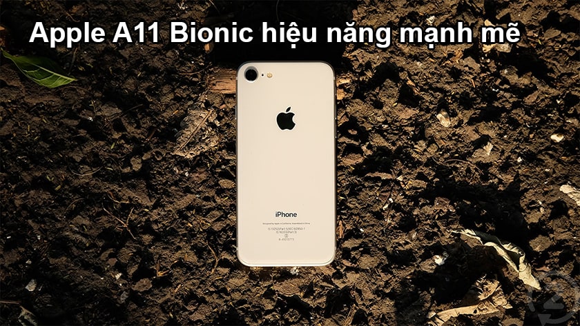 iPhone 8 có bao nhiêu phiên bản