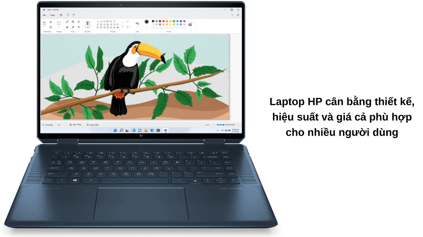 Giữa Dell và HP nên mua laptop nào?