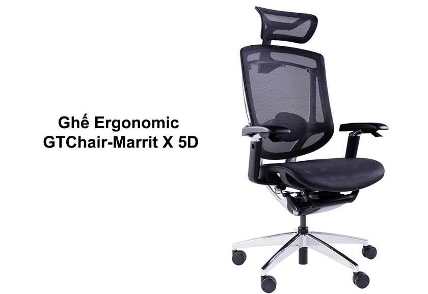 Ghế Ergonomic GTChair-Marrit X 5D
