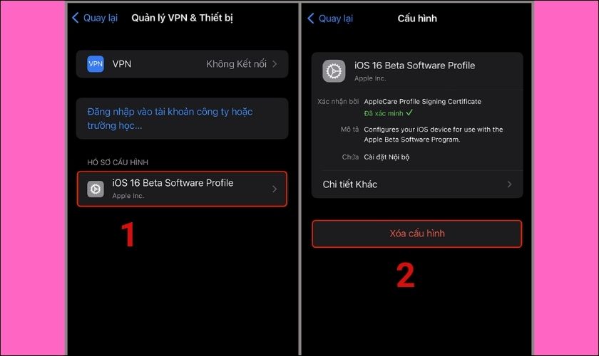 Chọn Cấu hình iOS 16 Beta Software Profile