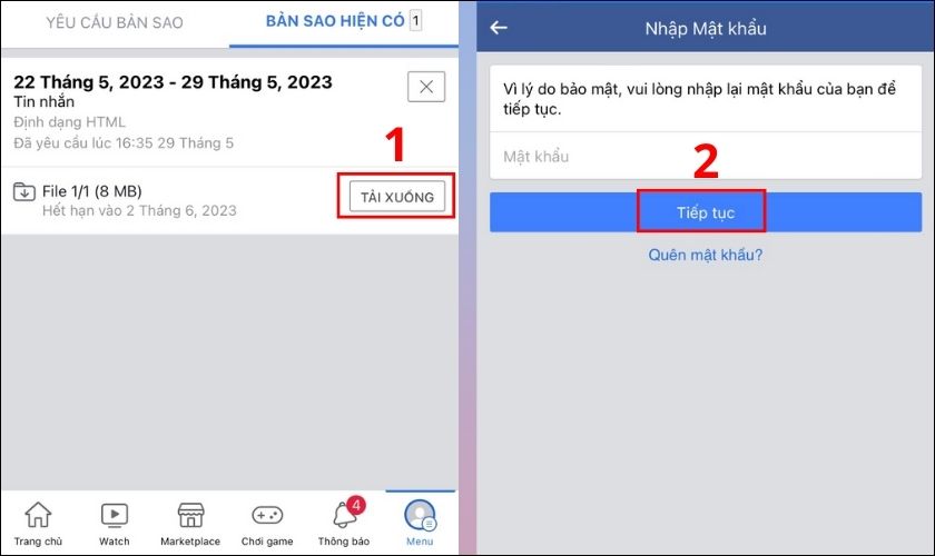 Nhấn Tải xuống, nhập mật khẩu Facebook rồi nhấn Tiếp tục