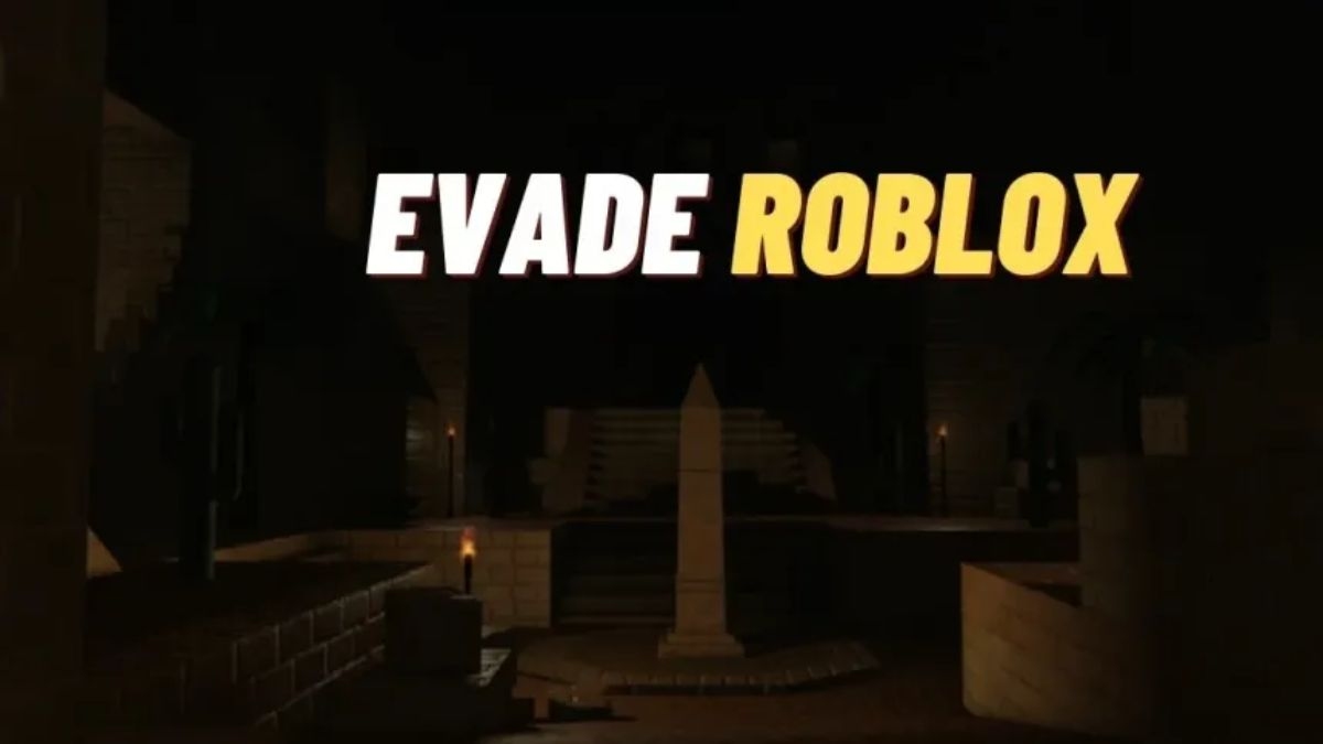 Một số lưu ý nhỏ khi tiến hành nhập code Evade Roblox