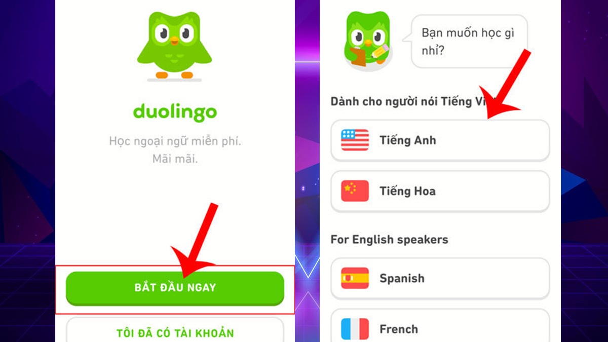 Đăng ký Duolingo trên điện thoại iOS bước 2
