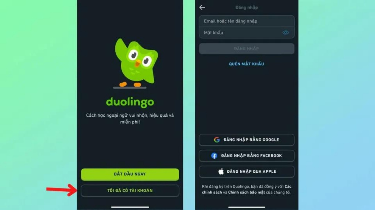 Hướng dẫn tải và đăng ký tài khoản duolingo học tiếng Anh trên mọi thiết bị