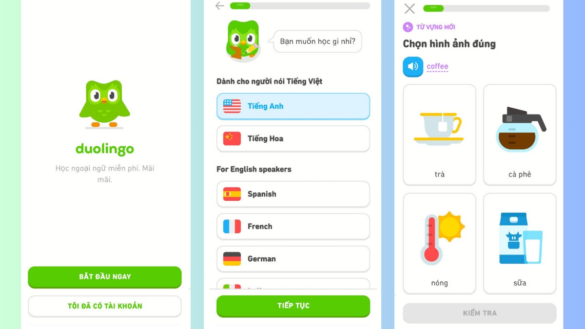 Hướng dẫn tải và đăng ký tài khoản duolingo học tiếng Anh trên mọi thiết bị