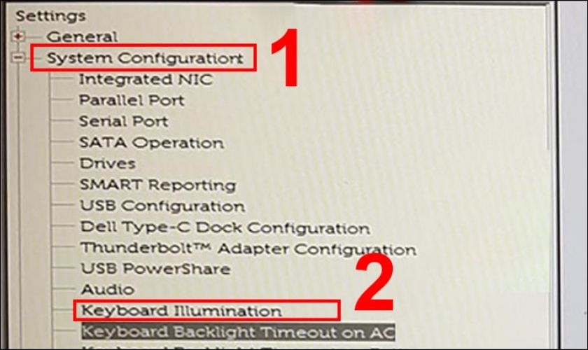 Click chuột vào System Configuration và chọn Keyboard Illumination